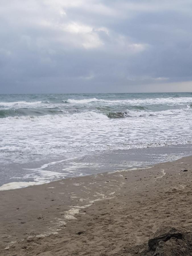 La Rose Des Sables, T2 A La Mer, Terrasse Et Garage Frontignan Exteriér fotografie