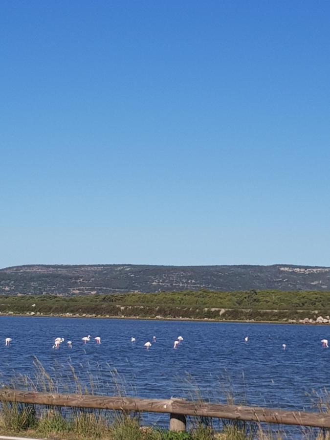 La Rose Des Sables, T2 A La Mer, Terrasse Et Garage Frontignan Exteriér fotografie