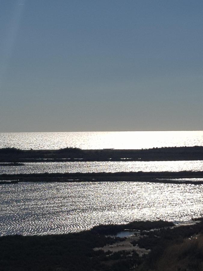 La Rose Des Sables, T2 A La Mer, Terrasse Et Garage Frontignan Exteriér fotografie
